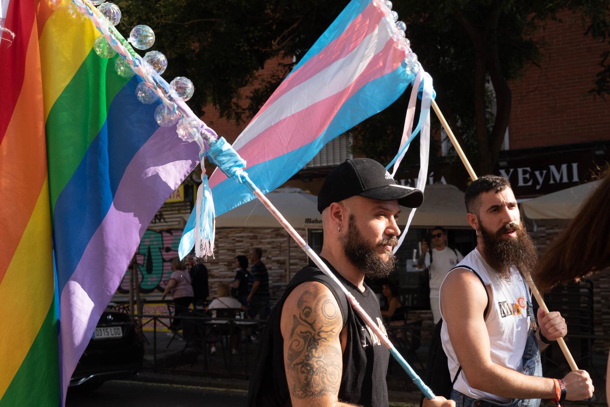 Orgullo crítico Vallecas - 4